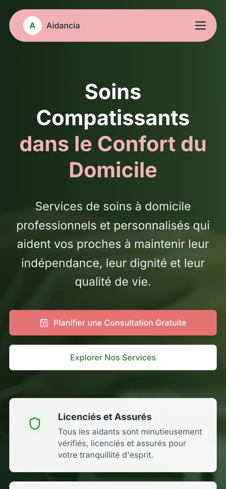 Aidancia - Agence de Soins à Domicile preview