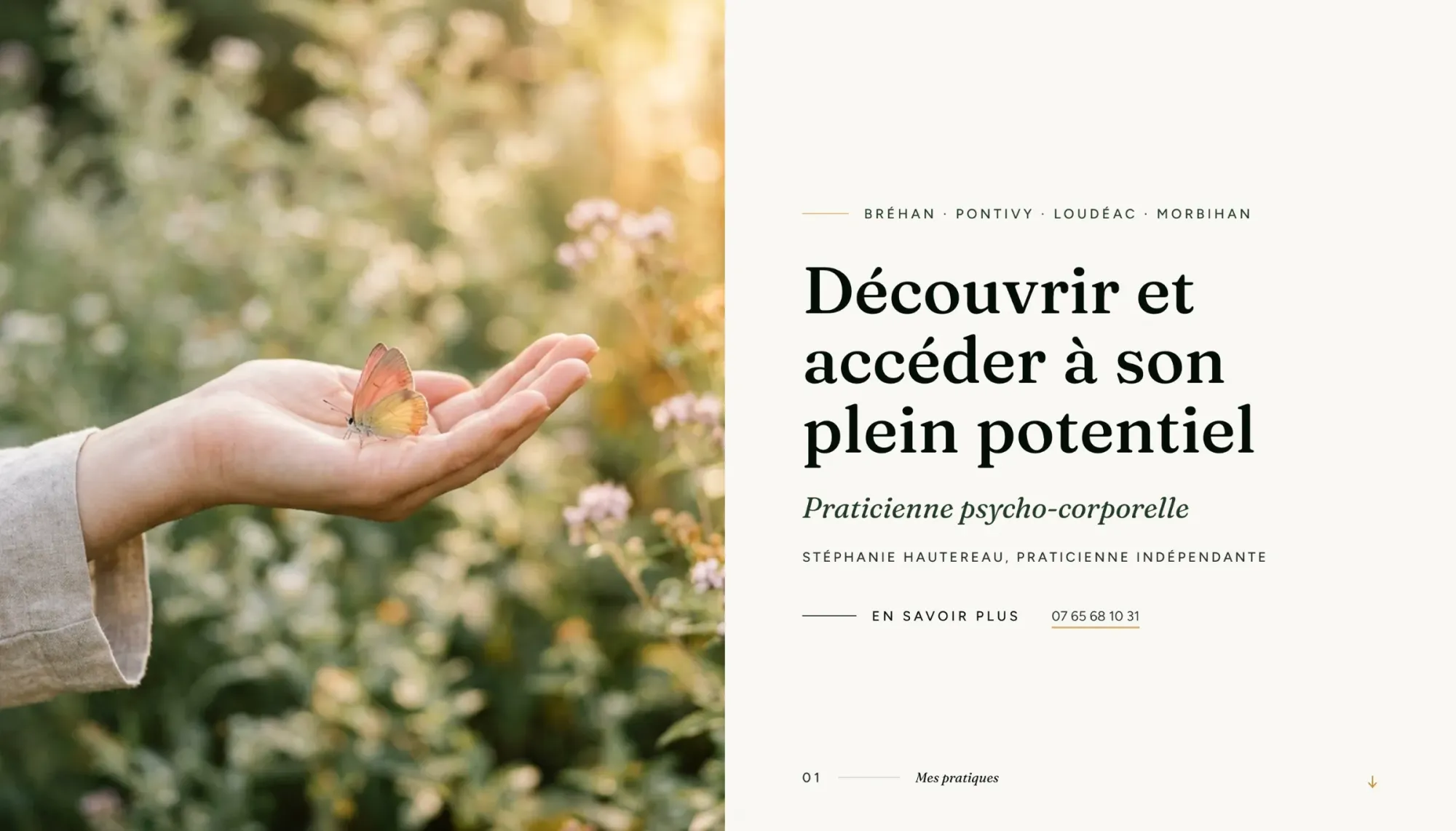 Aperçu du site de Le Chemin du Papillon